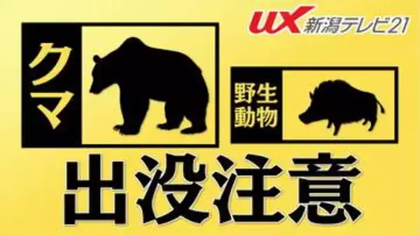 【クマ目撃情報】「クマ1頭を目撃した」約100m離れた場所には温泉施設【新潟･上越市】