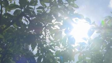 【速報】新潟市秋葉区で35℃に達し 今シーズン初の「猛暑日」に、熱中症に厳重警戒を【新潟】