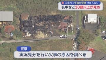 完全に焼け落ち･･･乳牛など30頭以上が死ぬ 五泉市が牛舎が全焼 ケガ人なし【新潟】