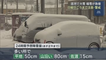 【大雪】各地で大雪 積雪が急増、25日(日)ごろまで注意・警戒を【新潟】