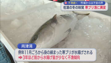 不漁続く･･･佐渡の冬の味覚「寒ブリ」漁に異変、市場からは不安の声【新潟･佐渡市】