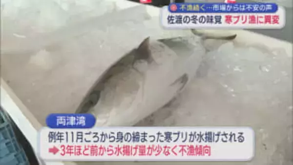 不漁続く･･･佐渡の冬の味覚「寒ブリ」漁に異変、市場からは不安の声【新潟･佐渡市】