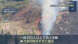 「23時間後に鎮圧 35ha以上が消失 魚沼市のスキー場跡地で山火事、長岡市山古志の林野火災も鎮圧【新潟】」の画像1