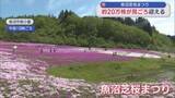 「緑の山々と色とりどりの芝桜コラボ！約20万株の芝桜が見ごろ【新潟･魚沼市】」の画像1
