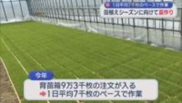 田植えシーズンに向けて苗作り 1日平均7000枚ペースで作業【新潟】