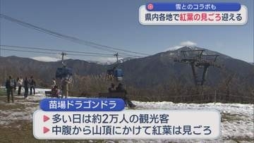 標高の高い山で〝雪化粧〟県内各地で紅葉の見ごろ迎えコラボも【新潟】