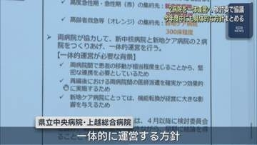2病院を一体運営へ「急がなくてはいけない」上越地域の医療再編 検討委員会で協議【新潟】