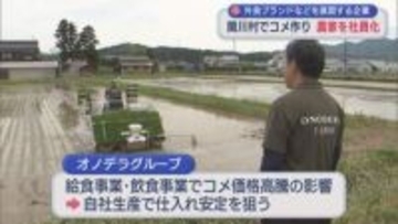 外食ブランドなどを展開する企業 農家を社員化するなどしコメ事業参入【新潟·関川村】