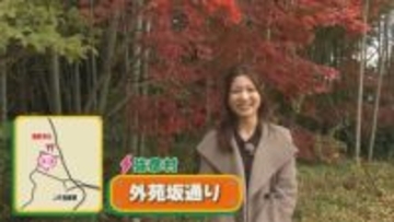 【新潟おでかけ情報】紅葉の名所「もみじ谷」と･･･もうひとつおすすめ「大迫力の紅葉スポット」も【弥彦村】