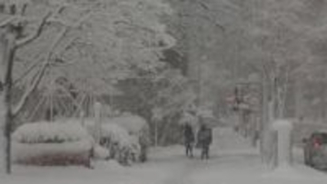 上越市・長岡市も積雪1m超…　新潟県内の平地で雪が強まる　25日も交通障害などに警戒を【新潟・24日午後6時】