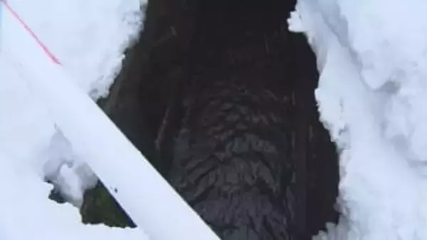 【続報】除雪作業中に「流雪溝」に流され74歳と67歳の男性死亡、詰まり解消させようと中で作業【新潟･十日町市】