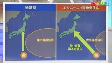 17日はさらに暑さが増す見込み　向こう一ヶ月は本格的な雨のシーズンか【気象予報士が解説｜新潟】