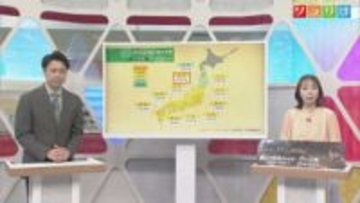 まもなく「花粉シーズン」はじまる、再び「インフルエンザ警報」が発令【気象予報士が解説｜新潟】