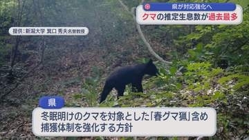 中央値で8747頭 県がクマの推定生息数を公表、クマ対策強化へ【新潟】