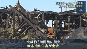 乳牛など30頭以上を飼育していた牛舎が全焼する火事【新潟・五泉市】