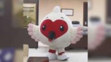 11月17日誕生から20年：県のマスコットキャラクター「トッキッキ」PR貢献に知事から感謝状贈呈【新潟】