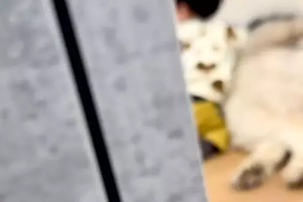 『赤ちゃんと超大型犬がいないな』と思い探した結果→ママに隠れてこっそりと…とんでもなく尊い『密会の様子』が30万再生「なにこの癒し空間」