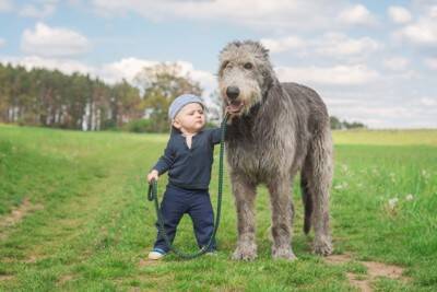 『寿命が短い』といわれている犬種５選　短命になる主な理由や健康寿命を延ばす秘訣まで