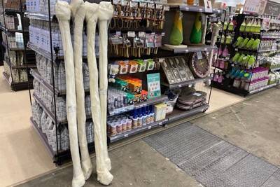 国内最大級のペットイベント「インターペット2024」スタート！ペットの最新トレンドをキャッチ