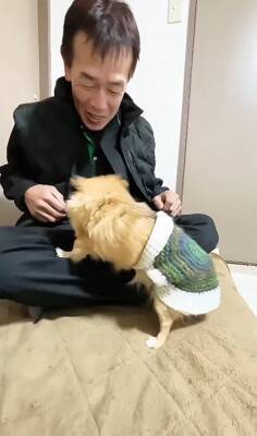 玄関先でお父さんの帰りを待っていた犬→帰ってきた瞬間…あまりにも尊い『熱烈歓迎』が5万再生「一目散なの素敵」「しっぽが最高すぎる」と絶賛