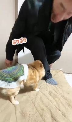 玄関先でお父さんの帰りを待っていた犬→帰ってきた瞬間…あまりにも尊い『熱烈歓迎』が5万再生「一目散なの素敵」「しっぽが最高すぎる」と絶賛