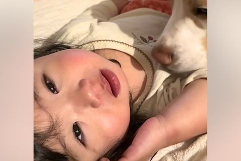 インフルエンザで『40度の熱』が出た小さな女の子→定期的に『犬』が見に来てくれて…家族愛に溢れた光景に感動「優しい」「最高の看護師長」