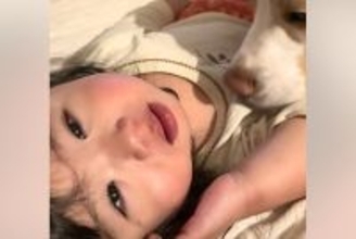 インフルエンザで『40度の熱』が出た小さな女の子→定期的に『犬』が見に来てくれて…家族愛に溢れた光景に感動「優しい」「最高の看護師長」