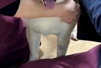 2週間入院している犬→病院からLINEが届いたので、確認した結果…思っていたのと違う『まさかの光景』に反響「顔ｗ」「ちょっとジェラシー」