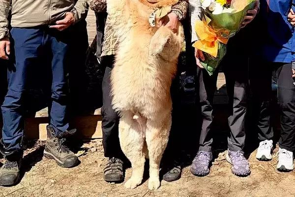 実家にて、大人数で記念撮影→一緒に『大型犬』も参加して…あまりにも可愛い『表情』に34万いいねの大反響「完全に主役で草」「いい笑顔だ」