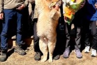 実家にて、大人数で記念撮影→一緒に『大型犬』も参加して…あまりにも可愛い『表情』に34万いいねの大反響「完全に主役で草」「いい笑顔だ」