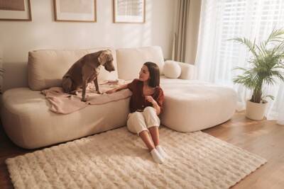 犬は自分の『名前』を理解している？学習させる方法や名前を呼んではいけないタイミングまで