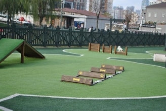 愛犬に喜んでもらうためのお出かけスポット3選！楽しむためのポイントとそれぞれの注意点