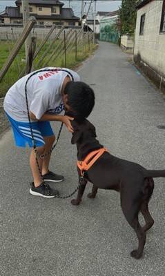 子犬のお迎え日、お兄ちゃんが号泣…家族としての『1年間の軌跡』が感動的だと2万再生「素敵な家族」「とっても可愛い」