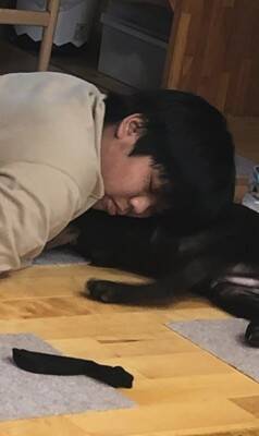 子犬のお迎え日、お兄ちゃんが号泣…家族としての『1年間の軌跡』が感動的だと2万再生「素敵な家族」「とっても可愛い」