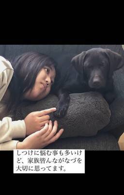 子犬のお迎え日、お兄ちゃんが号泣…家族としての『1年間の軌跡』が感動的だと2万再生「素敵な家族」「とっても可愛い」