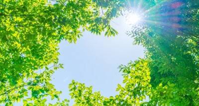 犬がご機嫌になる『音』５選　愛犬が大喜びする理由や音を聞かせるときの注意点とは？