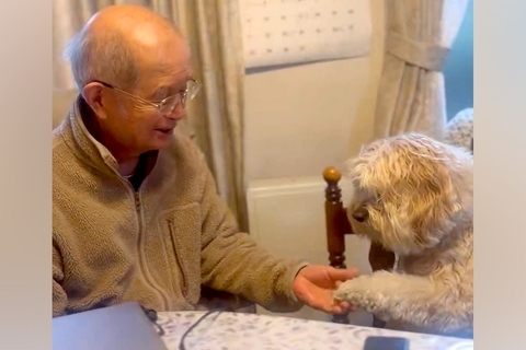 『近所のおじいちゃんの家』に遊びに行った犬→ずっと見ていたくなる『尊いやり取り』に2万いいね集まる「両方可愛いｗ」「アゴの出し方最高」