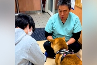 獣医師とケンカしている犬→『お姉さん』が現れた途端に…『まさかの診断結果』が下される瞬間が9万再生「反応の差ｗｗ」「分かりやすい」と爆笑