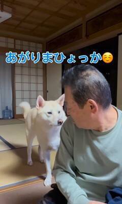 おじいちゃんに『早く寝よう』としゃべりかける犬→想定外な『低音ボイス』が70万再生「ドスがきいてるｗ」「ギャップあって素敵」と絶賛