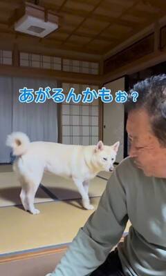 おじいちゃんに『早く寝よう』としゃべりかける犬→想定外な『低音ボイス』が70万再生「ドスがきいてるｗ」「ギャップあって素敵」と絶賛