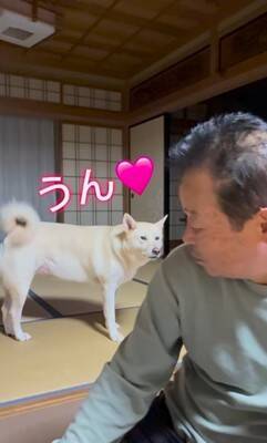 おじいちゃんに『早く寝よう』としゃべりかける犬→想定外な『低音ボイス』が70万再生「ドスがきいてるｗ」「ギャップあって素敵」と絶賛