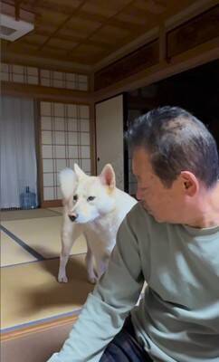 おじいちゃんに『早く寝よう』としゃべりかける犬→想定外な『低音ボイス』が70万再生「ドスがきいてるｗ」「ギャップあって素敵」と絶賛