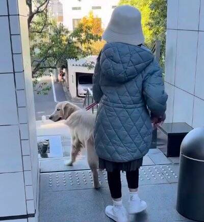 女の子とのお散歩中にあった『急な階段』→大型犬が一緒に降りようと…ジワジワくる『可愛い対処法』に「仲良しコンビ」「階段あるある」の声