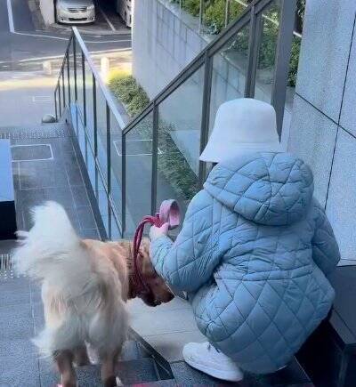 女の子とのお散歩中にあった『急な階段』→大型犬が一緒に降りようと…ジワジワくる『可愛い対処法』に「仲良しコンビ」「階段あるある」の声