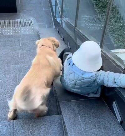 女の子とのお散歩中にあった『急な階段』→大型犬が一緒に降りようと…ジワジワくる『可愛い対処法』に「仲良しコンビ」「階段あるある」の声