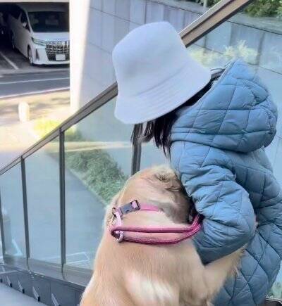 女の子とのお散歩中にあった『急な階段』→大型犬が一緒に降りようと…ジワジワくる『可愛い対処法』に「仲良しコンビ」「階段あるある」の声