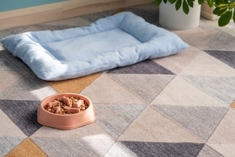 犬の『置き餌』が危険な理由3つ 起こりうる健康トラブルから取り入れたい予防策まで