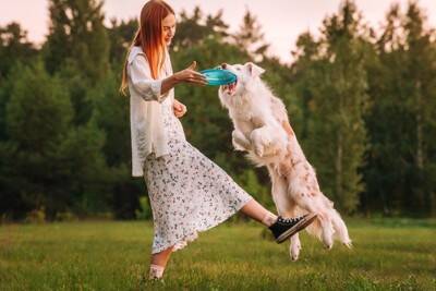 犬が飼い主に『呆れている』ときに見せる行動5選　愛犬が幻滅しているサインや信頼してもらう方法まで