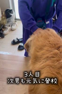 朝、家族全員の見送りをする大型犬→1人ずつテンションが下がって…今すぐ帰りたくなる『切ない光景』が175万再生「表情が愛おしい」と感動