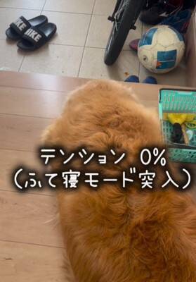 朝、家族全員の見送りをする大型犬→1人ずつテンションが下がって…今すぐ帰りたくなる『切ない光景』が175万再生「表情が愛おしい」と感動